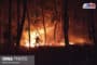 شعله های آتش به جان جنگل‌های شهرستان مرزی آستارا افتاد